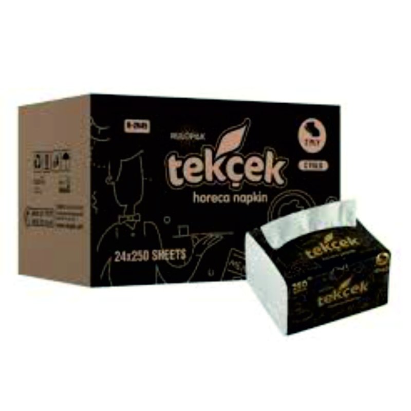 TEK ÇEK PEÇETE V KATLI DİSPANSER 24*250 